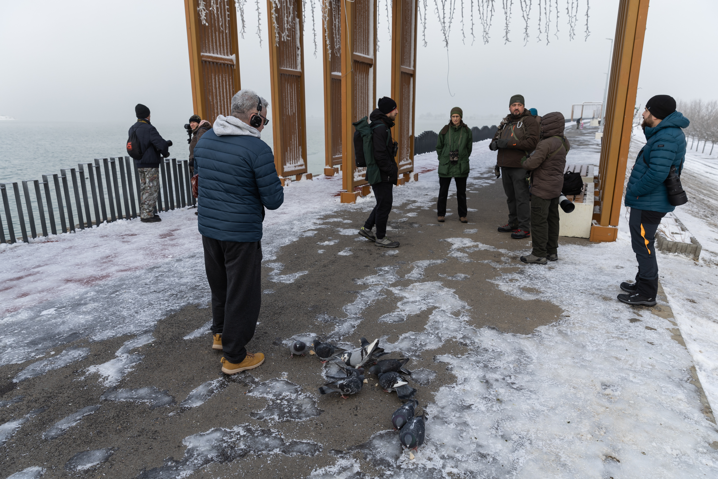 REPORTAJ. Pescuitul este interzis în zona podurilor până în martie, dar pe Dâmbovița, pescarii prind pești la „parașută”: „O capcană mortală pentru păsări”
