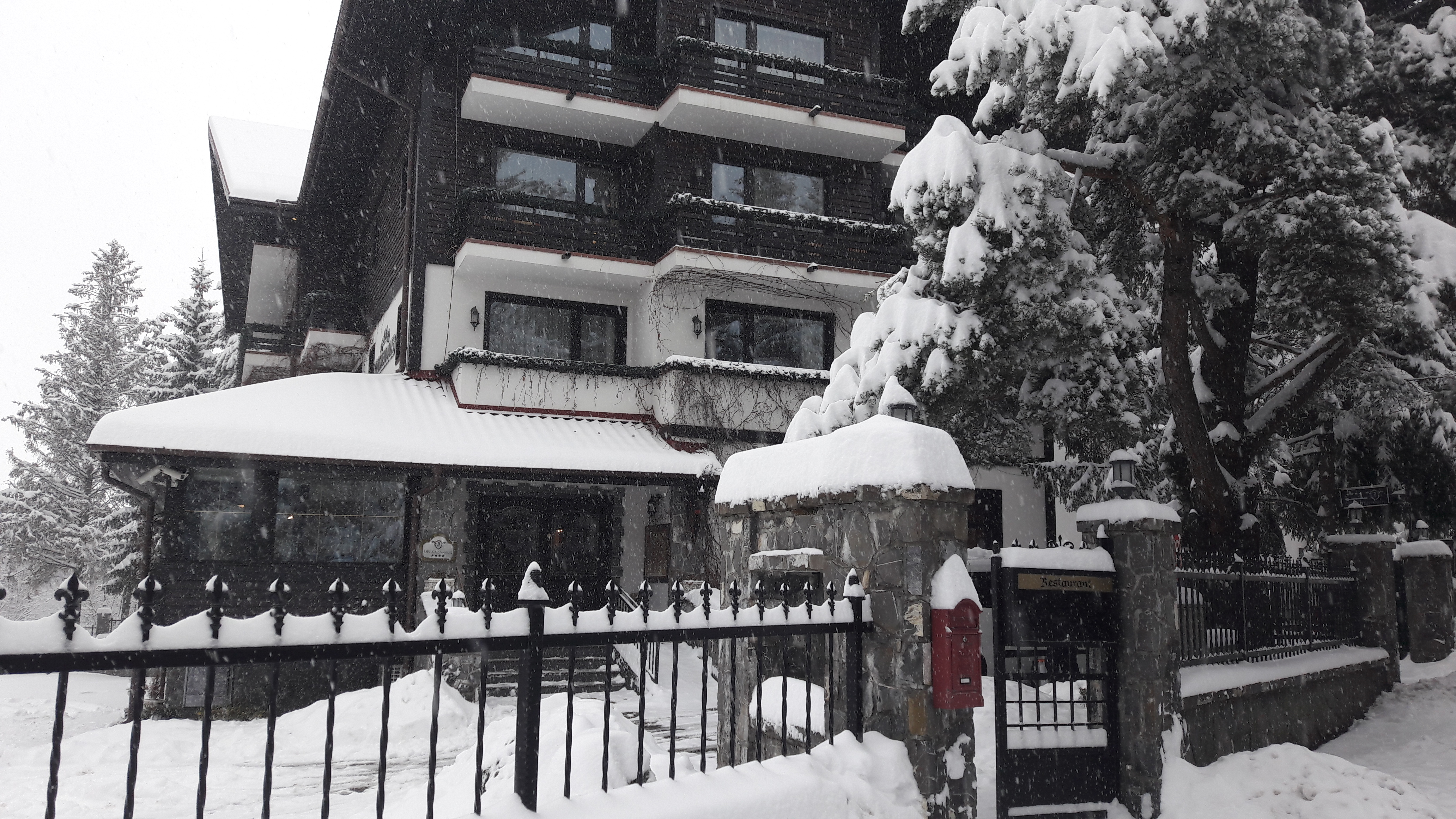 EXCLUSIV/Povestea brașoveanului Edömér Tóth, omul de afaceri de la care Simona Halep a cumpărat hotelul