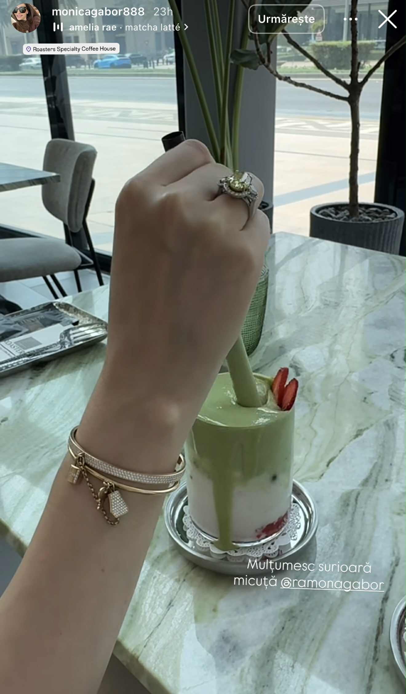 Cum au apărut surorile Ramona și Monica Gabor într-un restaurant din Dubai. Au fost lăudate: „Surori minunate”