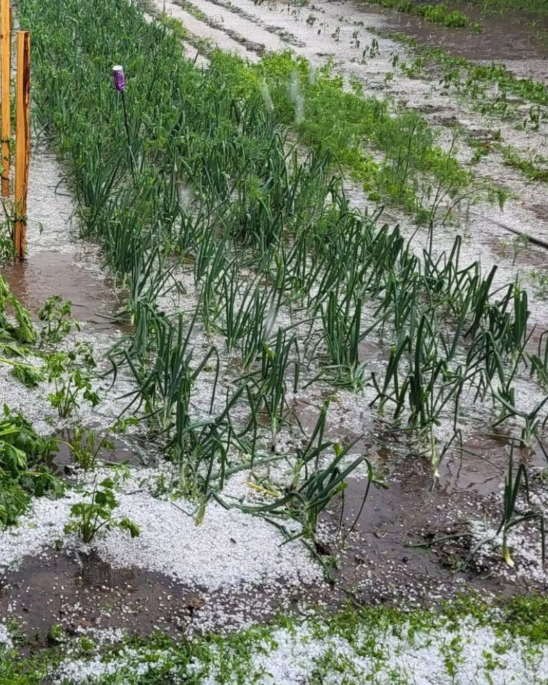 Codul portocaliu de ploi torențiale a făcut prăpăd în țară. În unele zone a plouat în 24 de ore cât într-o lună