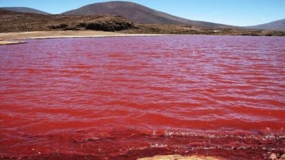 The Red Sea. SOURCE: meteorologiaenred