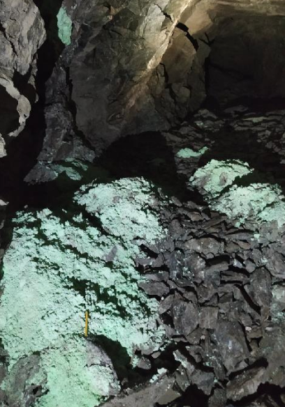 Compania canadiană care vrea să exploateze metalele rare din Munții Apuseni. Geologii au intrat în galeriile unde s-a exploatat uraniu în comunism