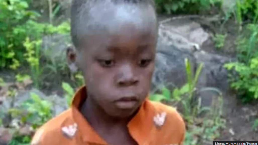 8-year-old boy survives 5 days in the wilds amongst lions and other dangerous animals