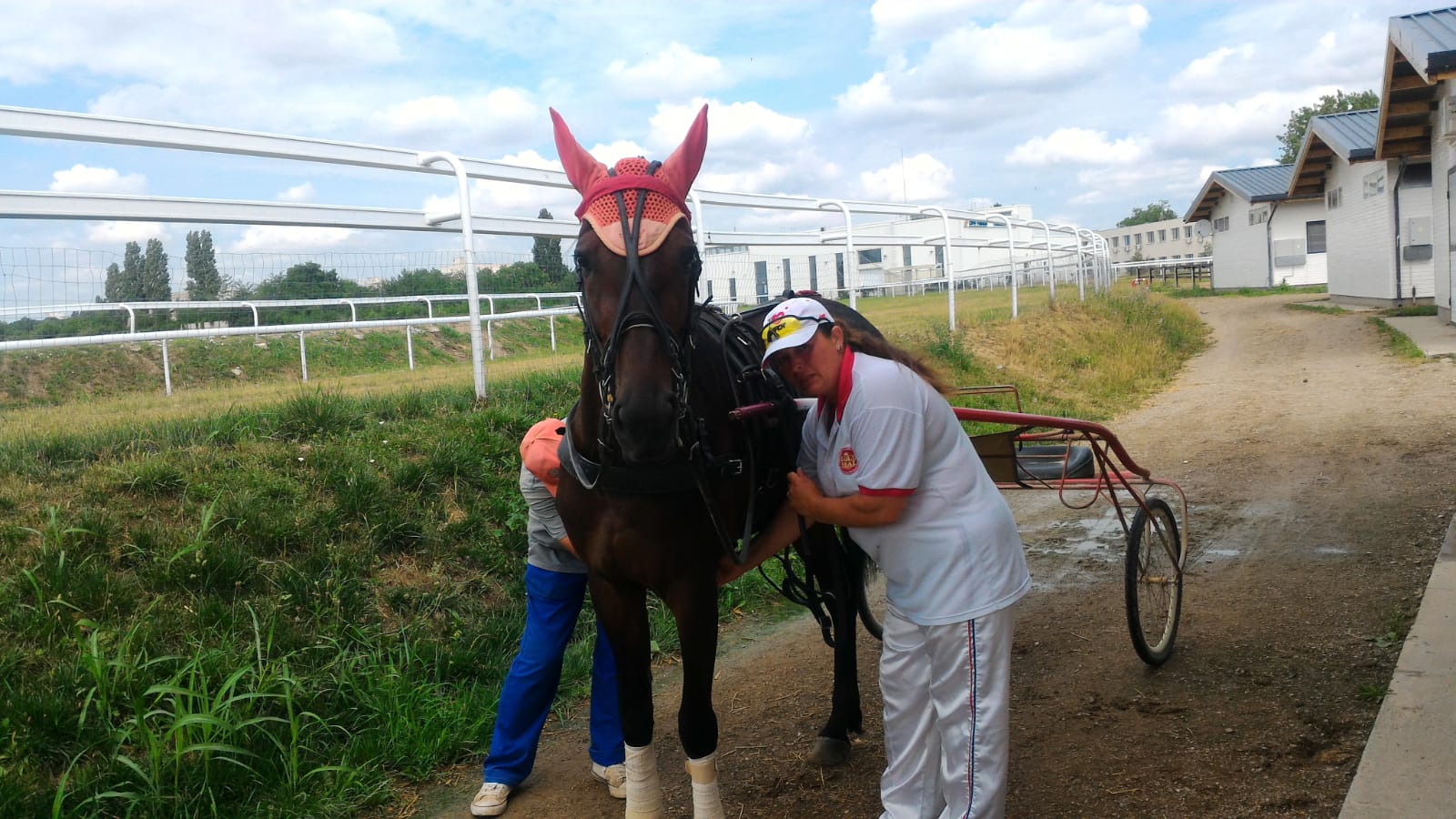 REPORTAJ/ Roxana Popa a lăsat afacerile şi a devenit una dintre puținele femei care antrenează cai. "Nu mă întrebaţi cum e când îi văd în suferinţă (FOTO&VIDEO)