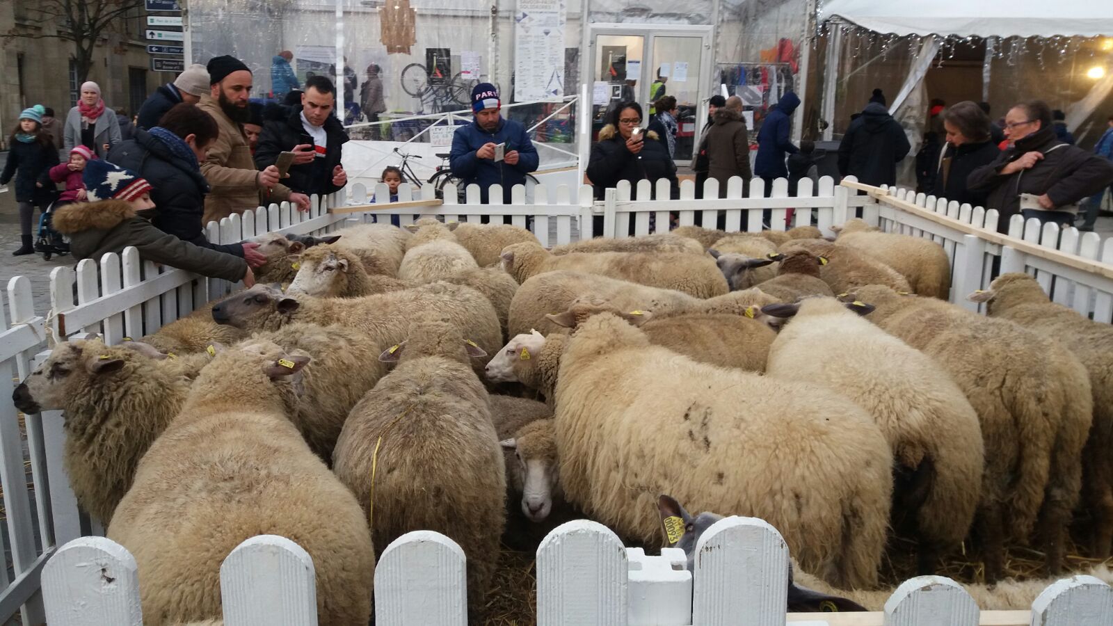 FOTO/Târgul de Crăciun din Saint-Denis - Paris are puțin din farmecul românesc. Un artizan francez imprimă haine cu imagini din București