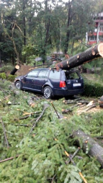 Stațiunea Moneasa din Arad, distrusă de furtună. Prăpăd după vijelie