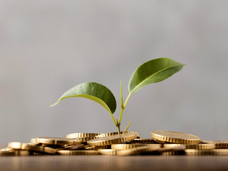 SME banking: 10 banks in Nigeria, Ghana shine in 2024 customer survey report