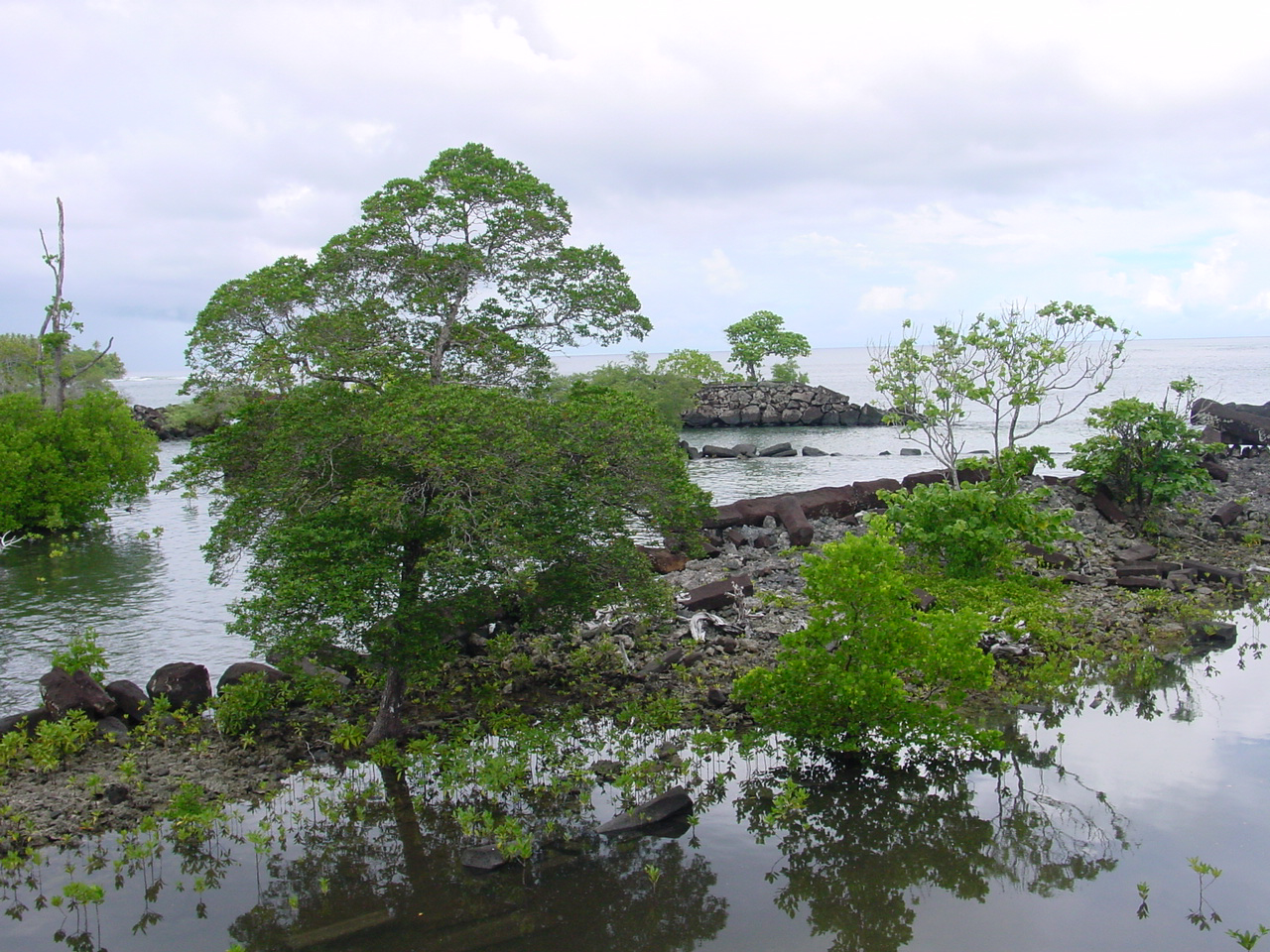 GALERIE FOTO| Nan Madol, orașul bântuit care plutește în ocean și îi intrigă pe cercetători