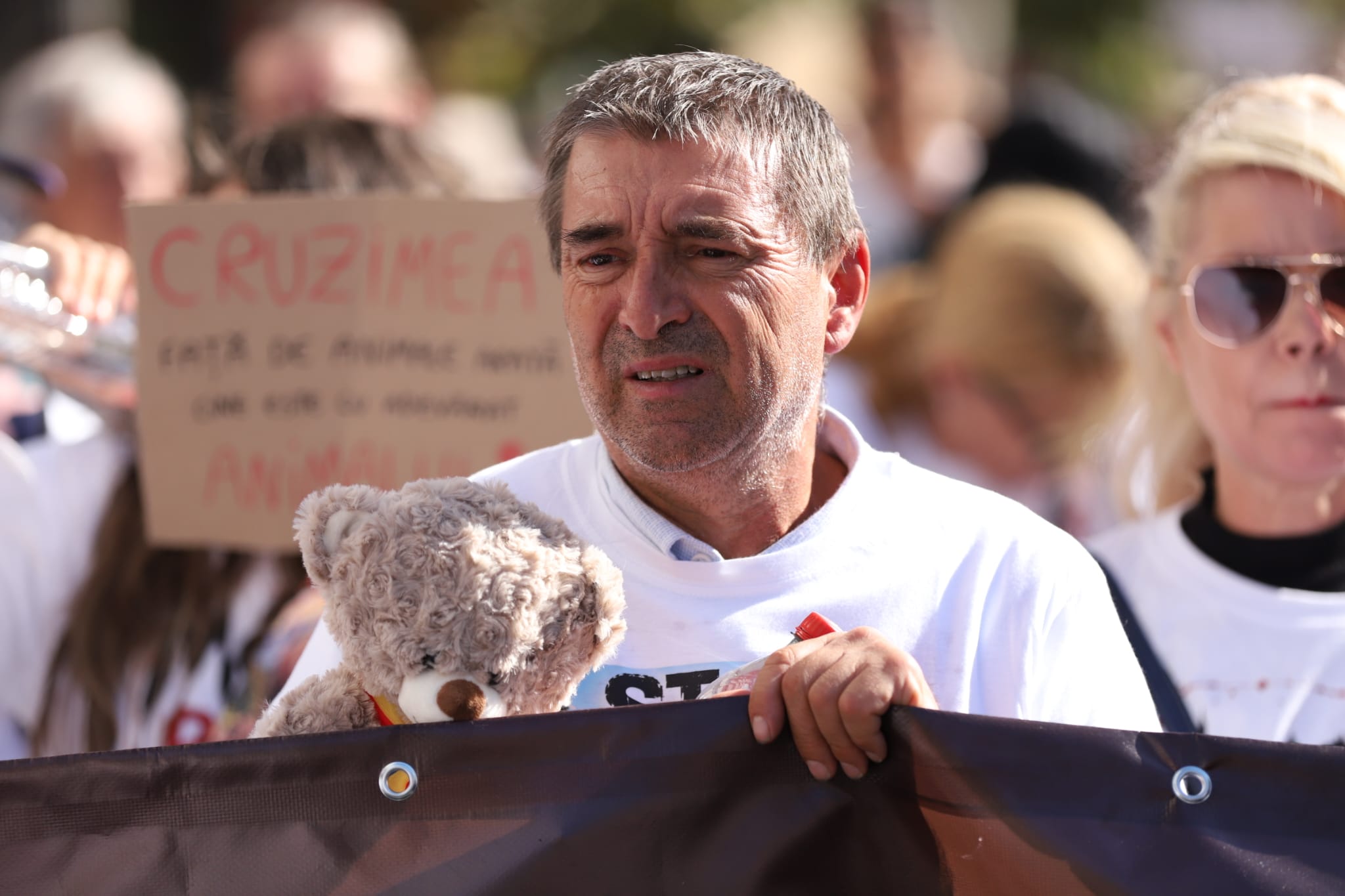 Protest de amploare în București de Ziua Mondială a Animalelor. Peste 70 de organizații cer oprirea uciderii câinilor din adăposturi și legi mai ferme