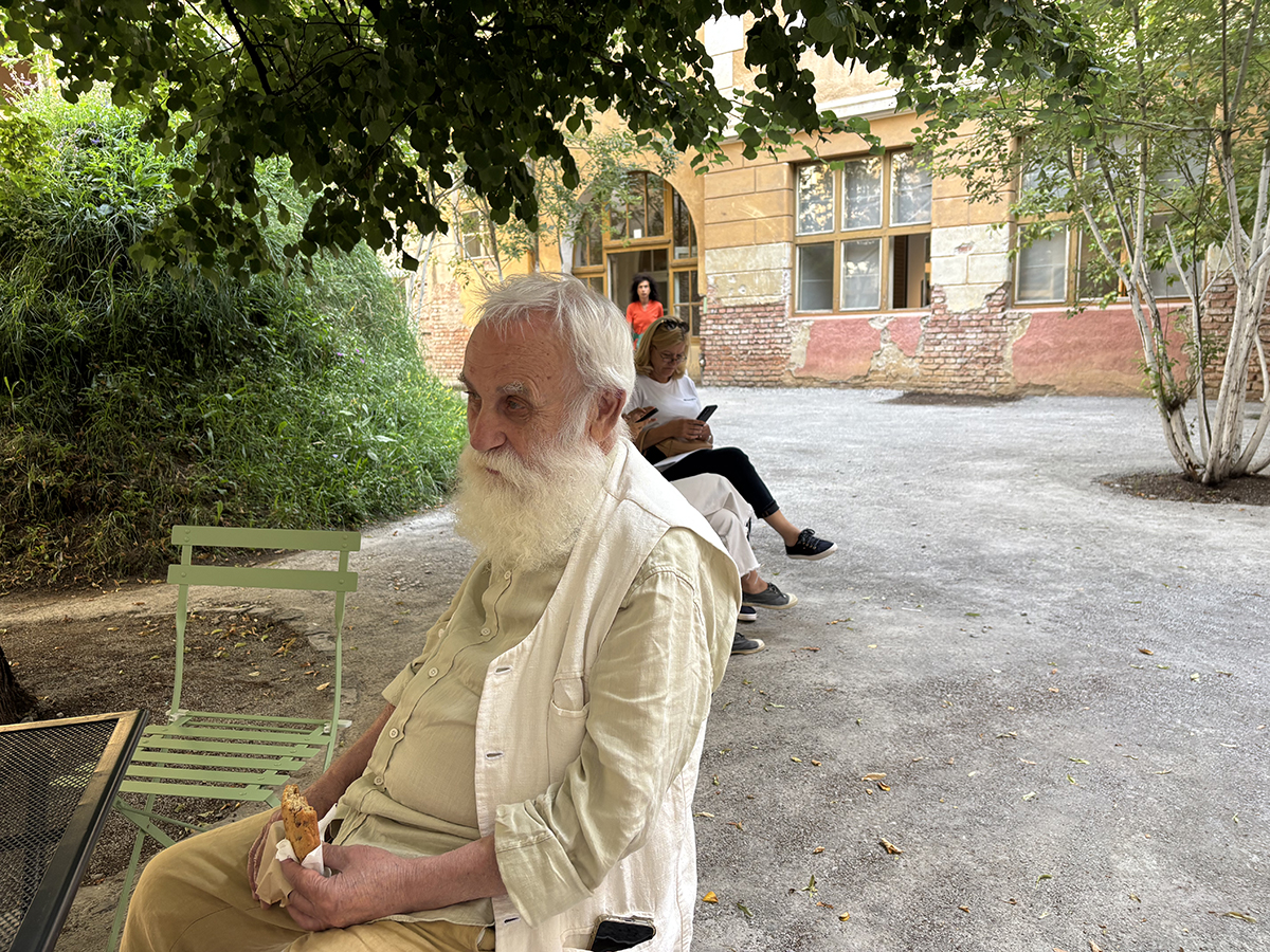 Sibiul văzut de la înălțimea acoperișurilor: aerisirile-ochi, țiglele-solz și peștii fără gravitație ai lui Câlția