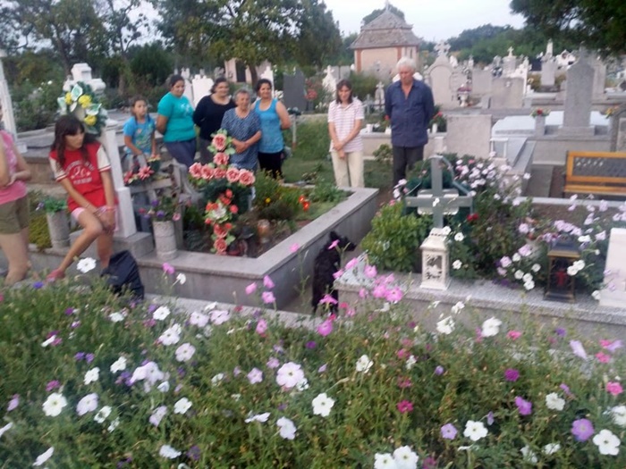 Un câine a fost îngropat de viu intenționat într-un cavou din cimitir. Explicația uluitoare a groparilor, care și-au recunoscut fapta