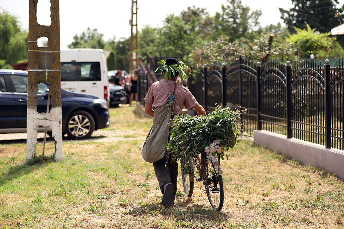 REPORTAJ Alegeri 2024 | Poliție, jandarmi și o bunică speriată de propria nepoată la Belciugatele: „M-a făcut în tot felul că am urcat în mașina primarului!”