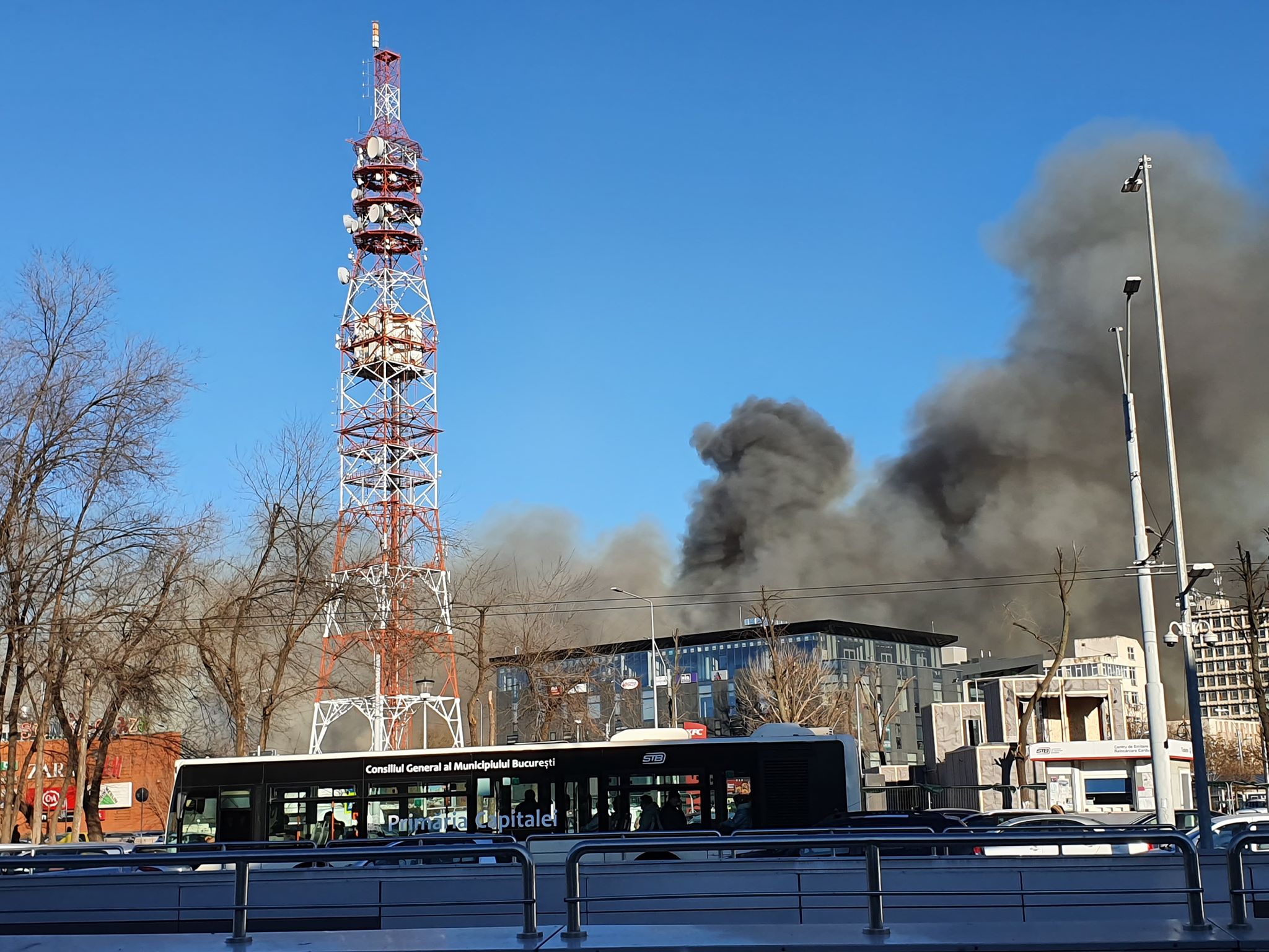 Incendiu puternic în Delta Văcărești. ISU București: Focul a fost provocat