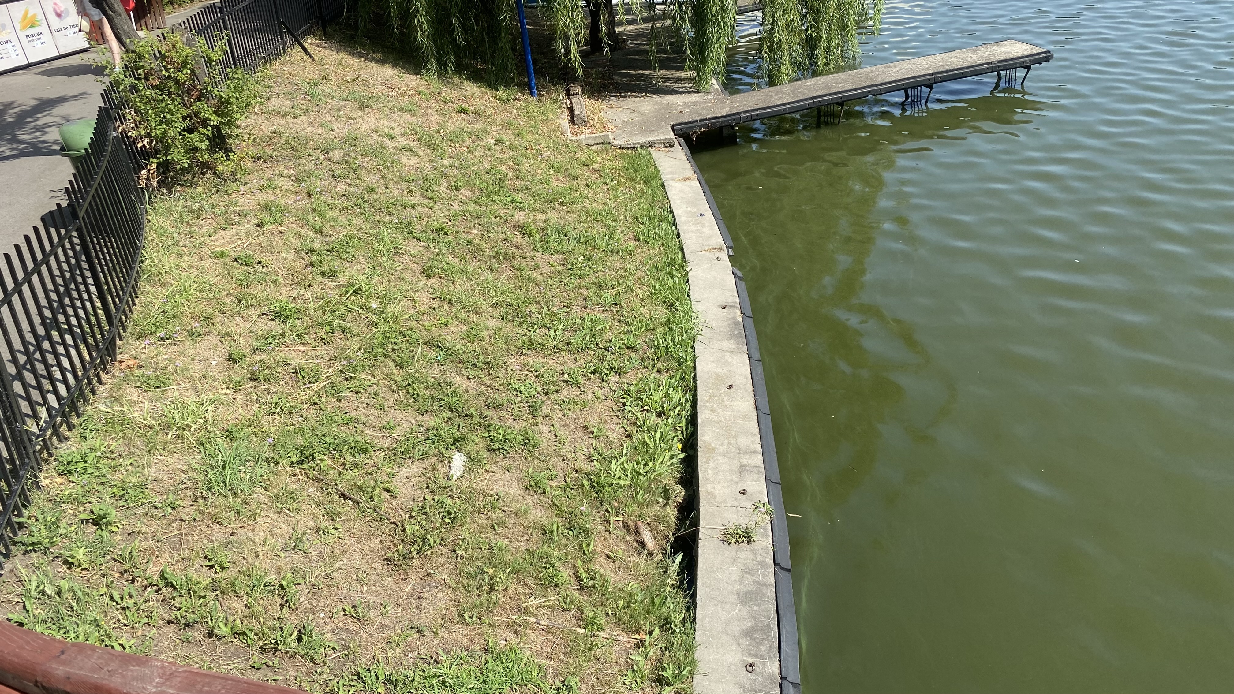 FOTO. Herăstrău, cel mai mare parc al Bucureștiului, arată mai rău ca niciodată. Trandafirii și zonele cu flori sunt istorie, clădirile pentru expoziții au fost vandalizate