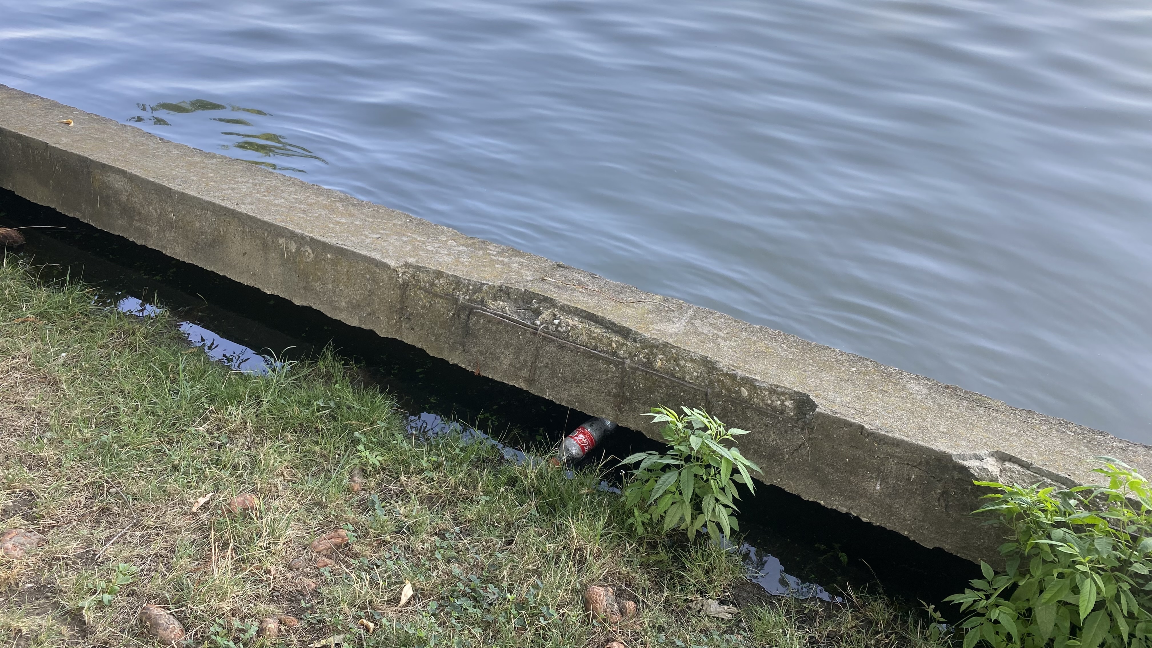 FOTO. Herăstrău, cel mai mare parc al Bucureștiului, arată mai rău ca niciodată. Trandafirii și zonele cu flori sunt istorie, clădirile pentru expoziții au fost vandalizate