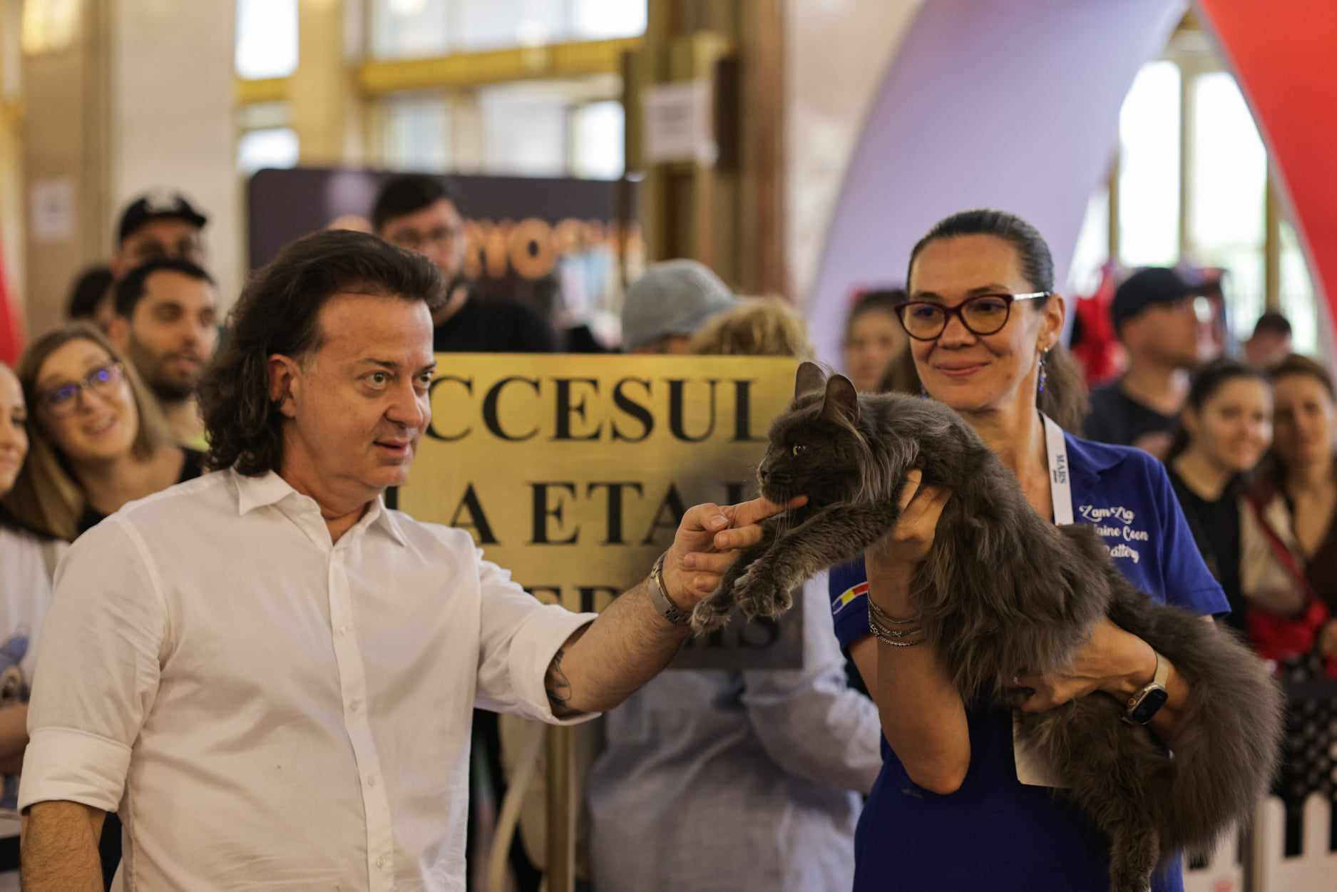 Nordri, câştigătorul cupei europene feline 2024, un superb motan alb din rasa Norvegian de Pădure, poate fi admirat la SofistiCAT, la Sala Palatului