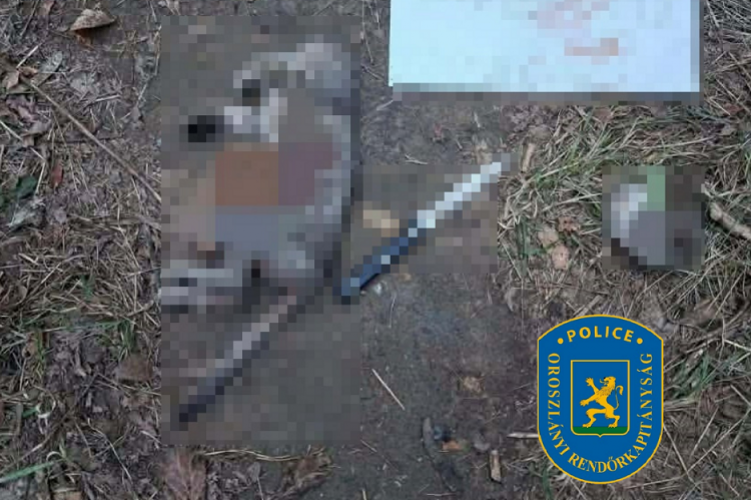 Brutálisan megölt egy macskát egy 14 éves fiú Oroszlányban: egy cetlit tett a tetem mellé, ezt üzente rajta
