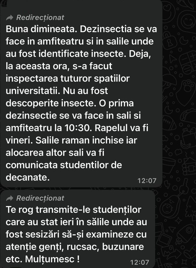 Universitatea de Arhitectură „Ion Mincu”, invadată de ploșnițe și șobolani. Mulți studenți refuză să mai participe la cursuri
