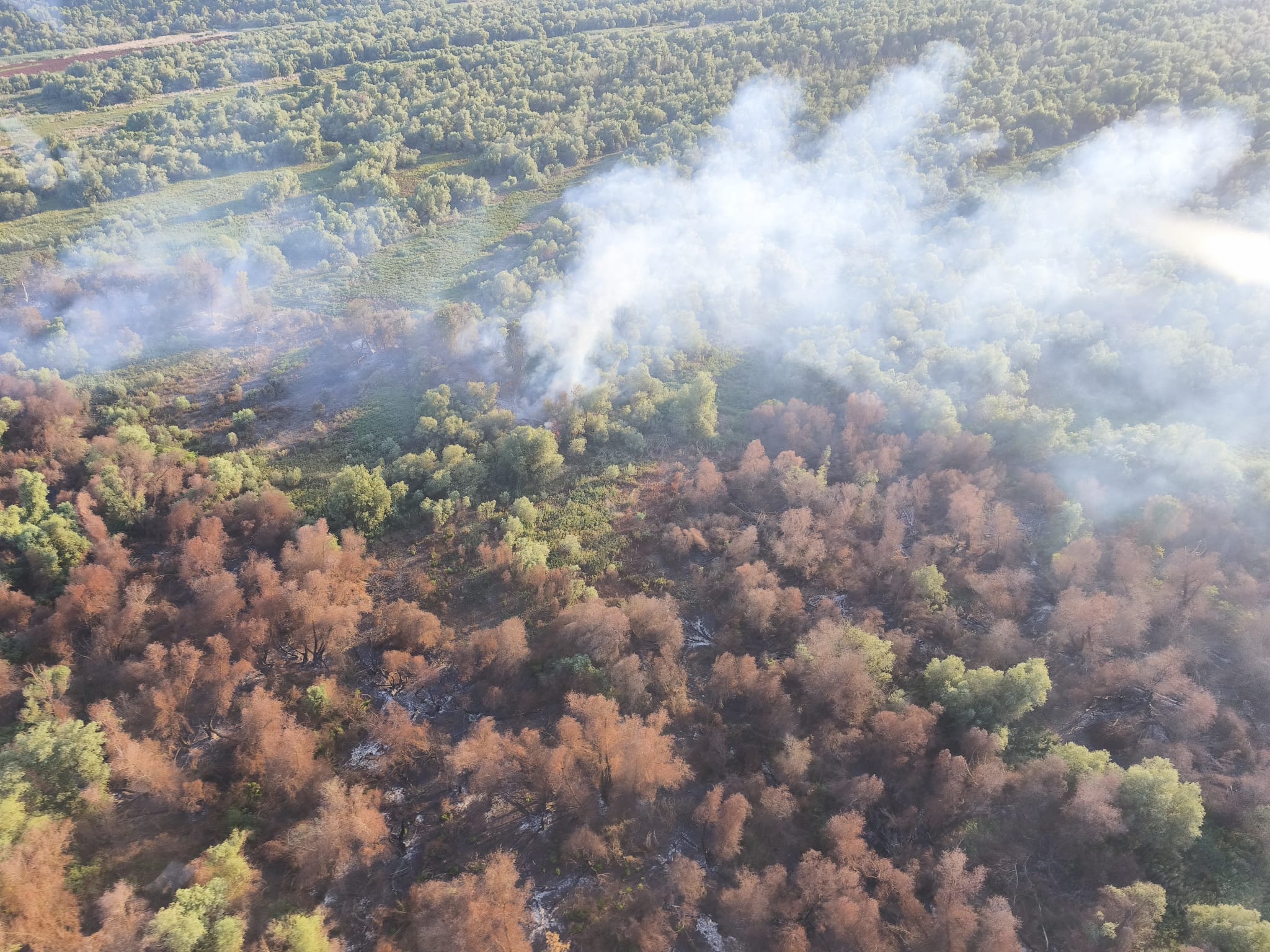 Ard 6 hectare de vegetație uscată în Chilia Veche, Tulcea. Intervine un elicopter Black Hawk