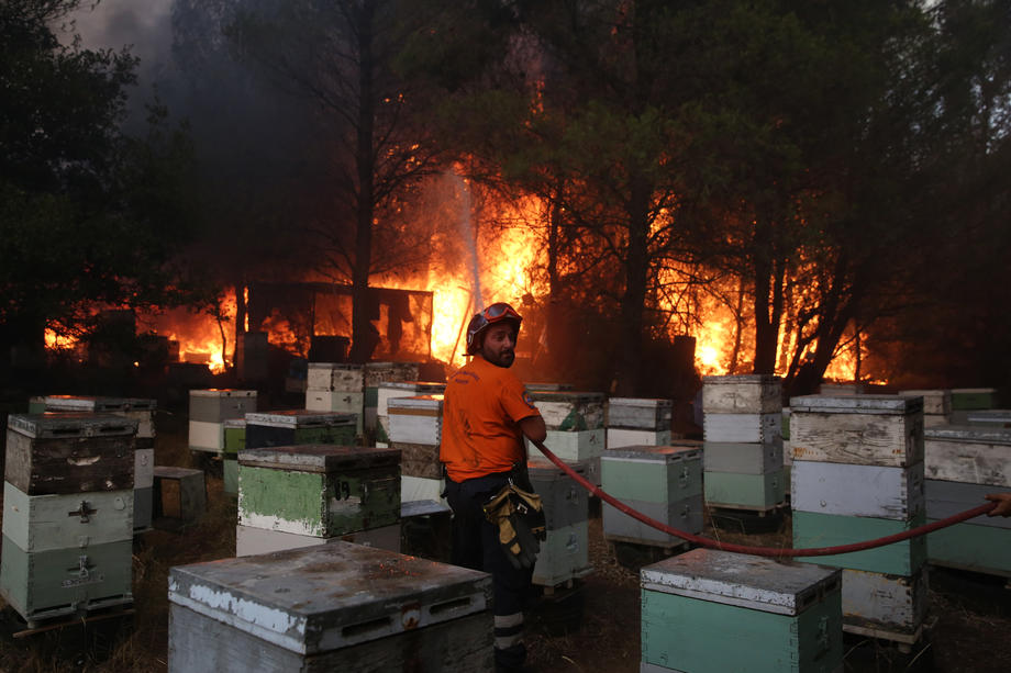 „Închideți geamurile și nu ieșiți din case”. Avertismentul primit de locuitorii din Atena, în urma incendiilor