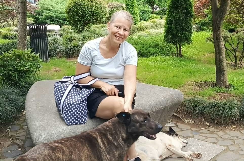 Százezrekbe kerül a kutyamentő akció: Grúziából akarja hazahozni Ildikó a kóbor ebet