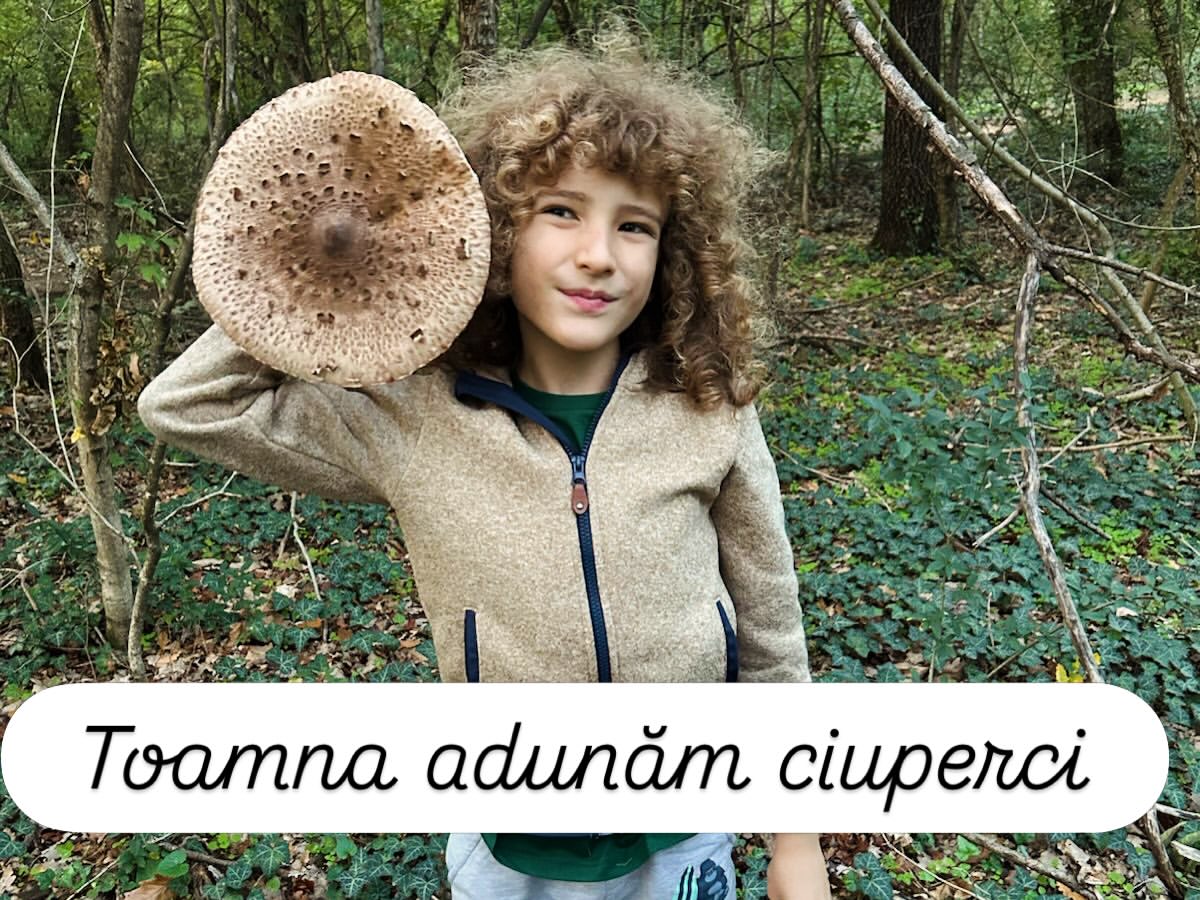 Imagini din gospodăria lui Dragoș Bucur și a Danei Nălbaru. De doi ani trăiesc la țară: „A fost cea mai bună decizie”