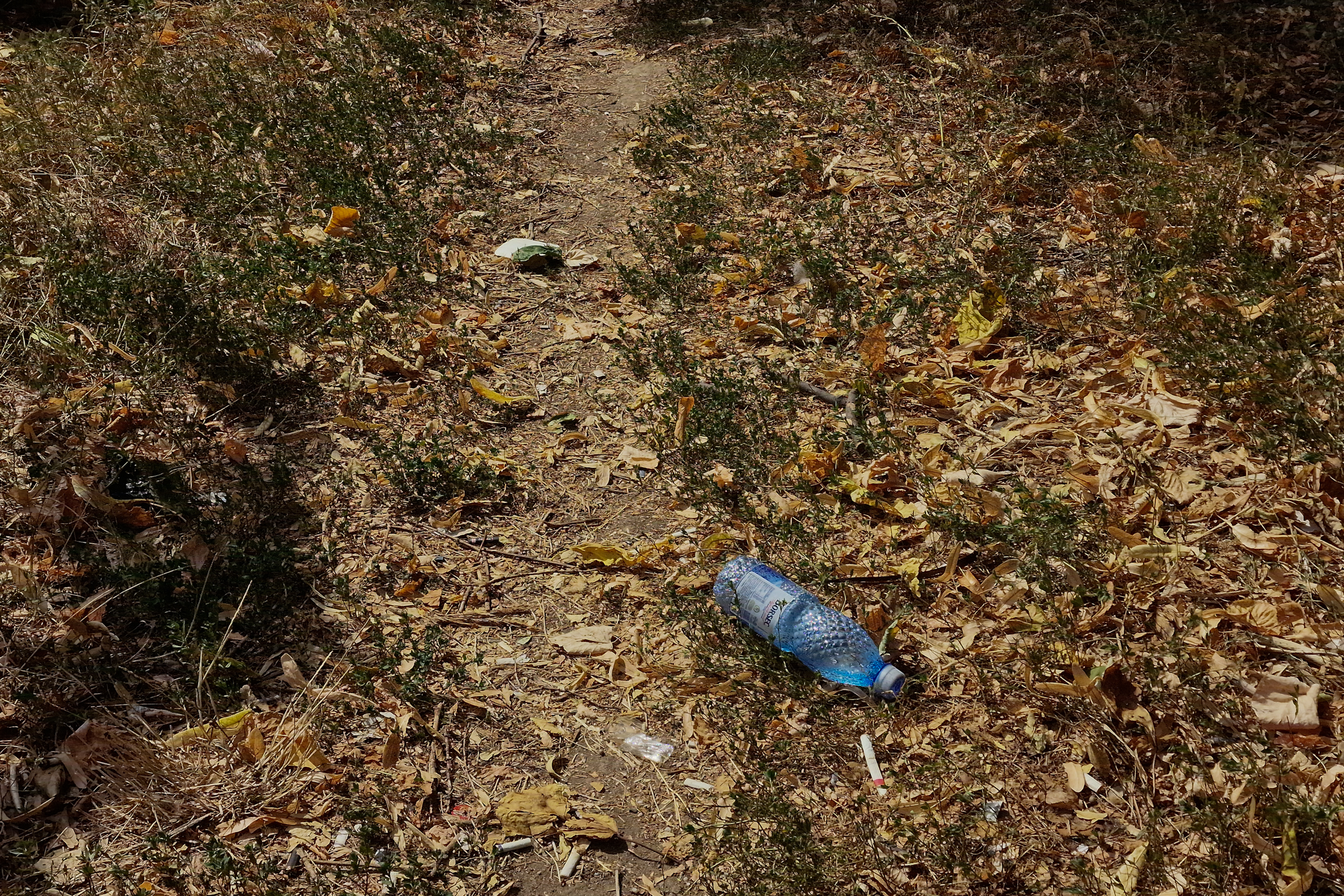 FOTO. În Parcul Circului din București, toată iarba e pârjolită. Rezistă, în schimb, gunoaiele