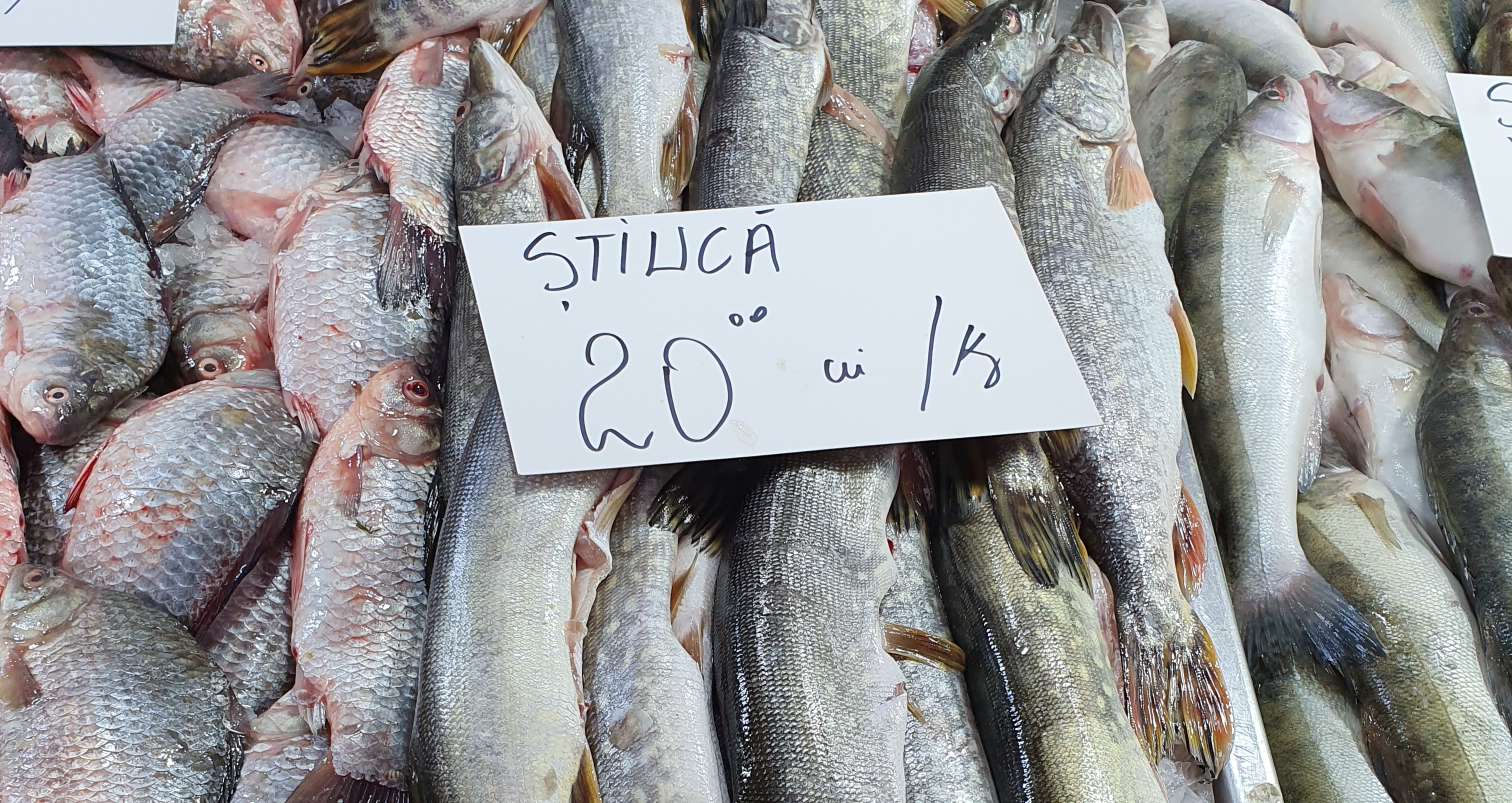 Agitație mare printre tarabe și miros de pește proaspăt: cum arată o zi în Piața Obor înainte de dezlegarea la pește din ziua de Florii. Prețuri pentru toată lumea