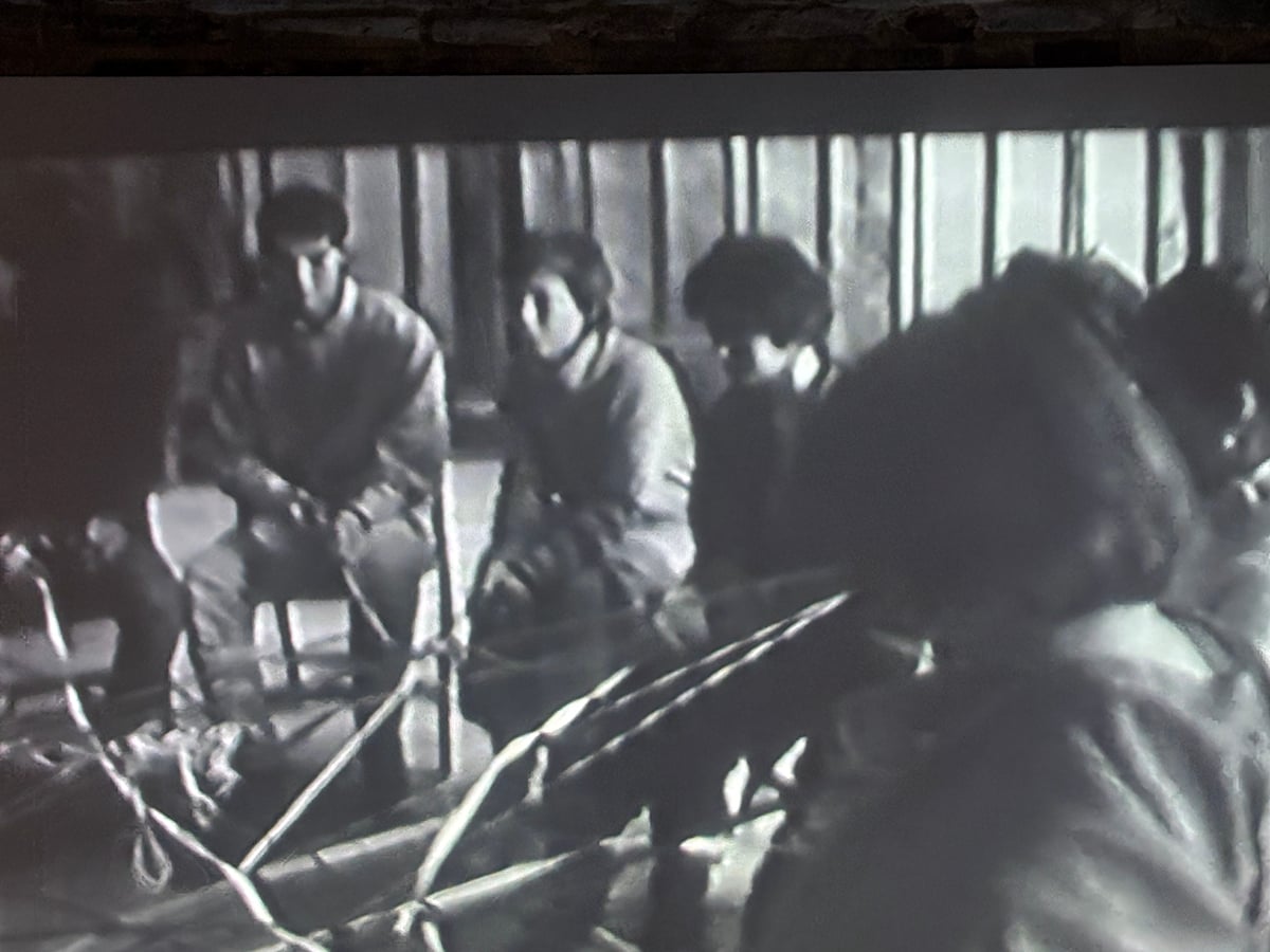 „Absolut toate revoltele noastre de-o viață împotriva lui Ceaușescu și a tuturor micilor dictatori «care ne călăresc »”. Reportaj despre Lia și Dan Perjovschi