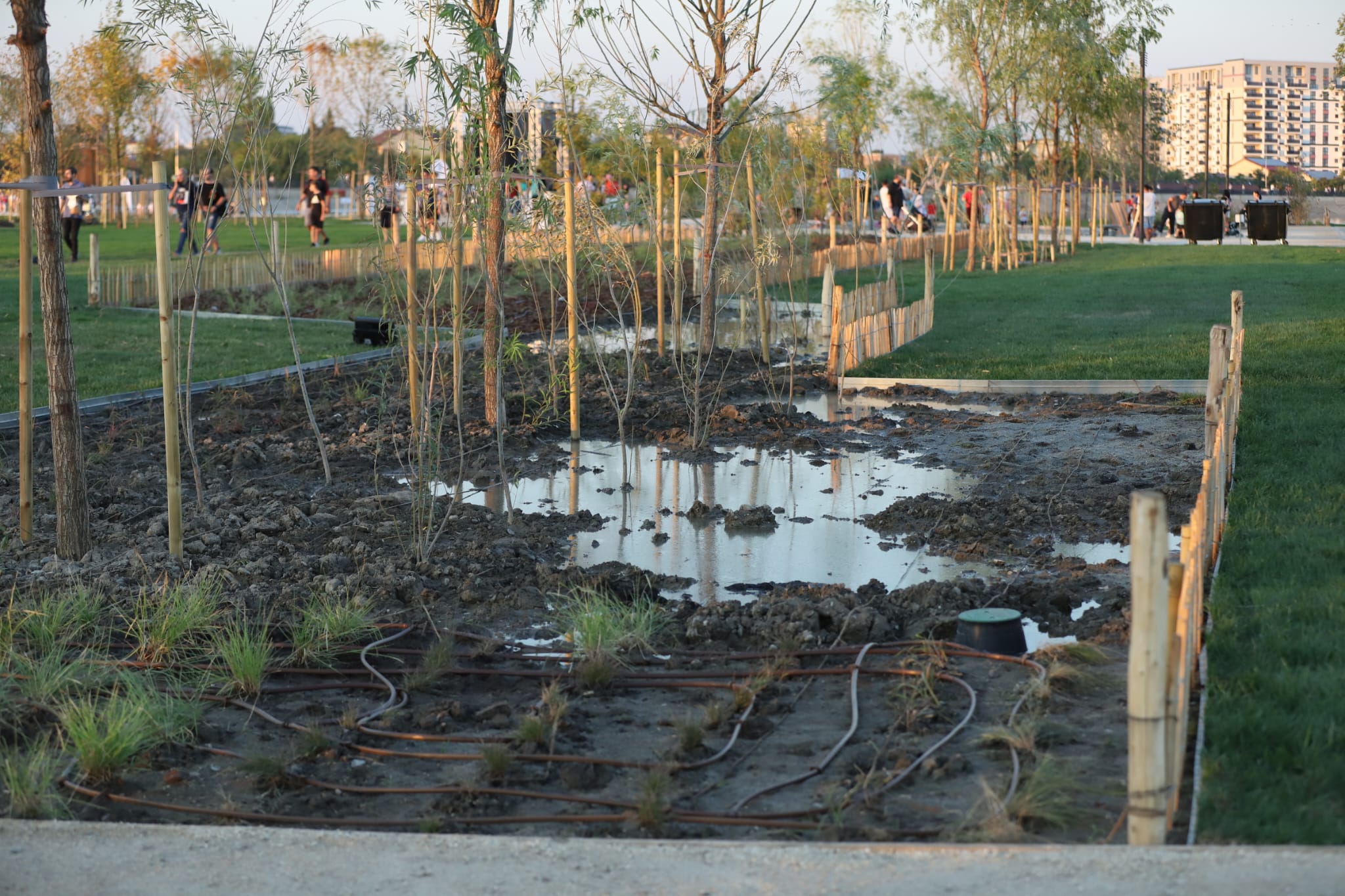 Insula Lacul Morii se deschide oficial bucureștenilor după o investiție spectaculoasă de 59 de milioane de lei 