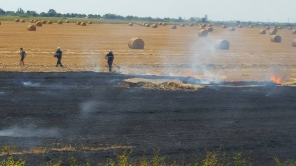 Incendiile de vegetație fac ravagii în Timiș. O mașină și mai multe hectare de teren, făcute scrum