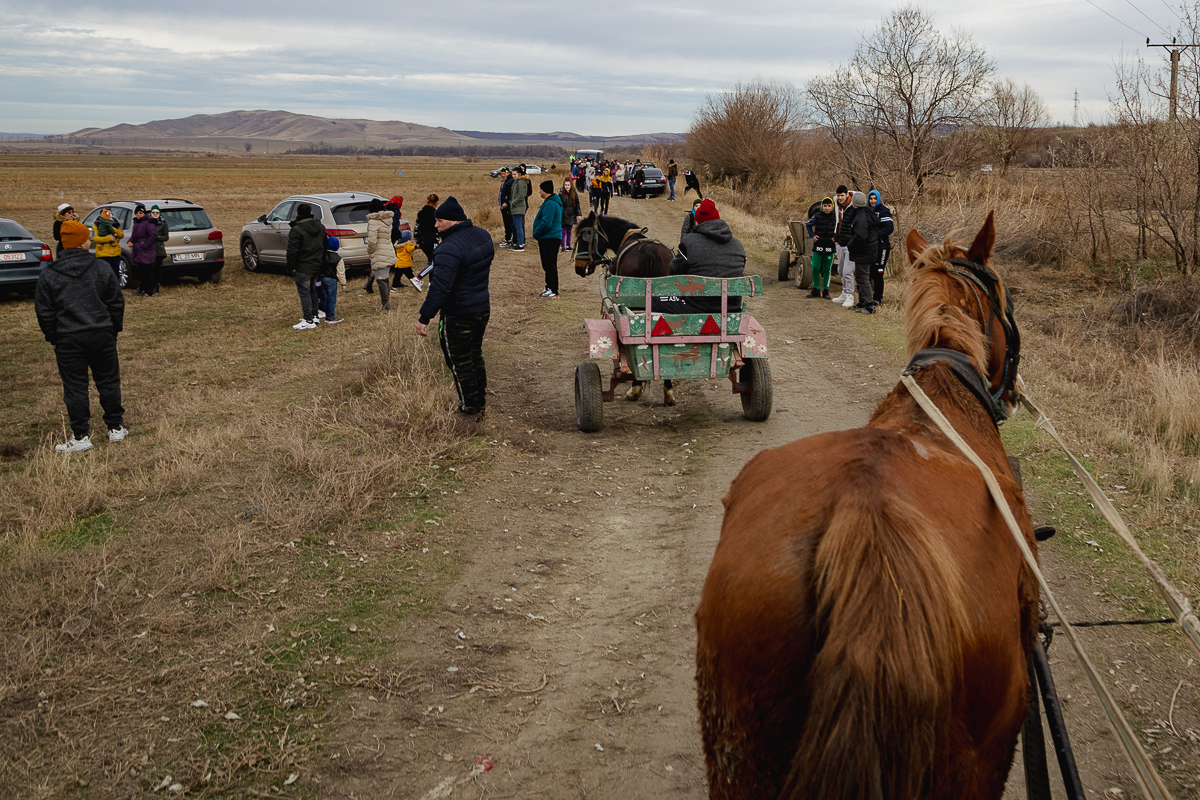 REPORTAJ Boboteaza pe malul Dunării, în comuna Ostrov: procesiune la debarcader, concurs de prins crucea și curse de cai