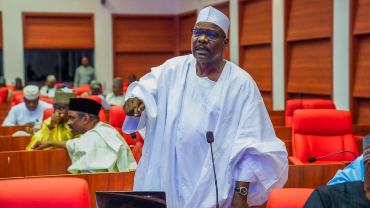 Senator Ali Ndume. [Facebook]