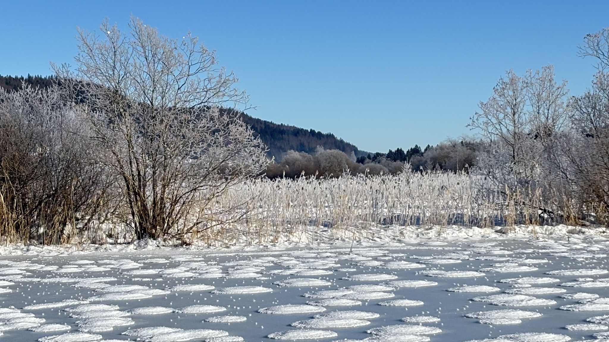 Fenomen rar și uluitor apărut în Franța, pe un lac înghețat. Ce sunt „clătitele de zăpadă” și cum se formează 
