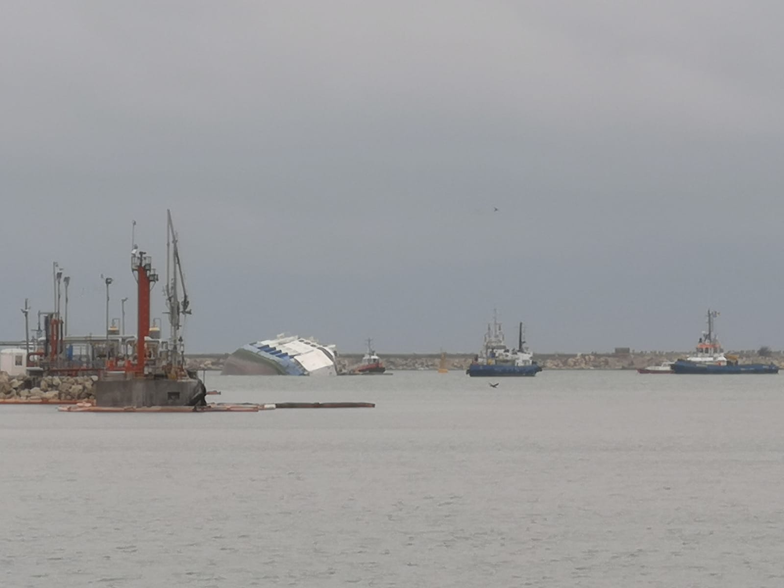 O navă care transporta mii de oi este în pericol de scufundare, în Portul Midia. Cum s-a intervenit pentru salvarea marinarilor