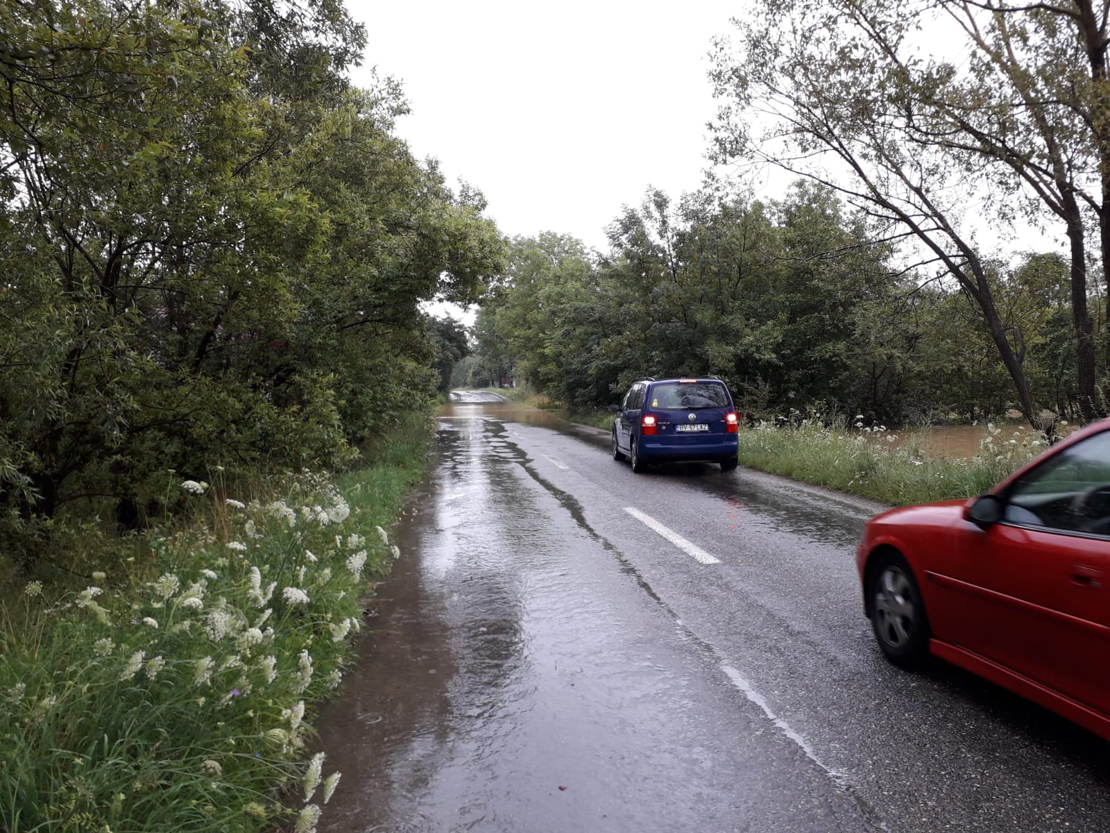 Mai multe gospodării din zona Făgărașului au fost inundate. Doi bolnavi au fost evacuați din case de către pompieri/ VIDEO&FOTO