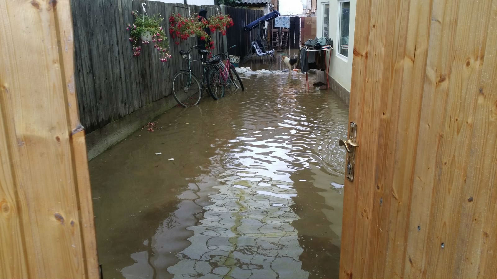 Zeci de locuinţe din şapte localităţi au fost inundate, în judeţul Braşov. Imagini șocante cu prăbușirea unui pod din cauza apelor dezlănțuite / FOTO&VIDEO