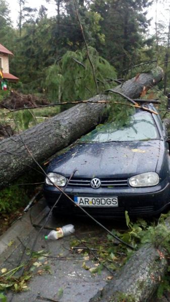 Stațiunea Moneasa din Arad, distrusă de furtună. Prăpăd după vijelie