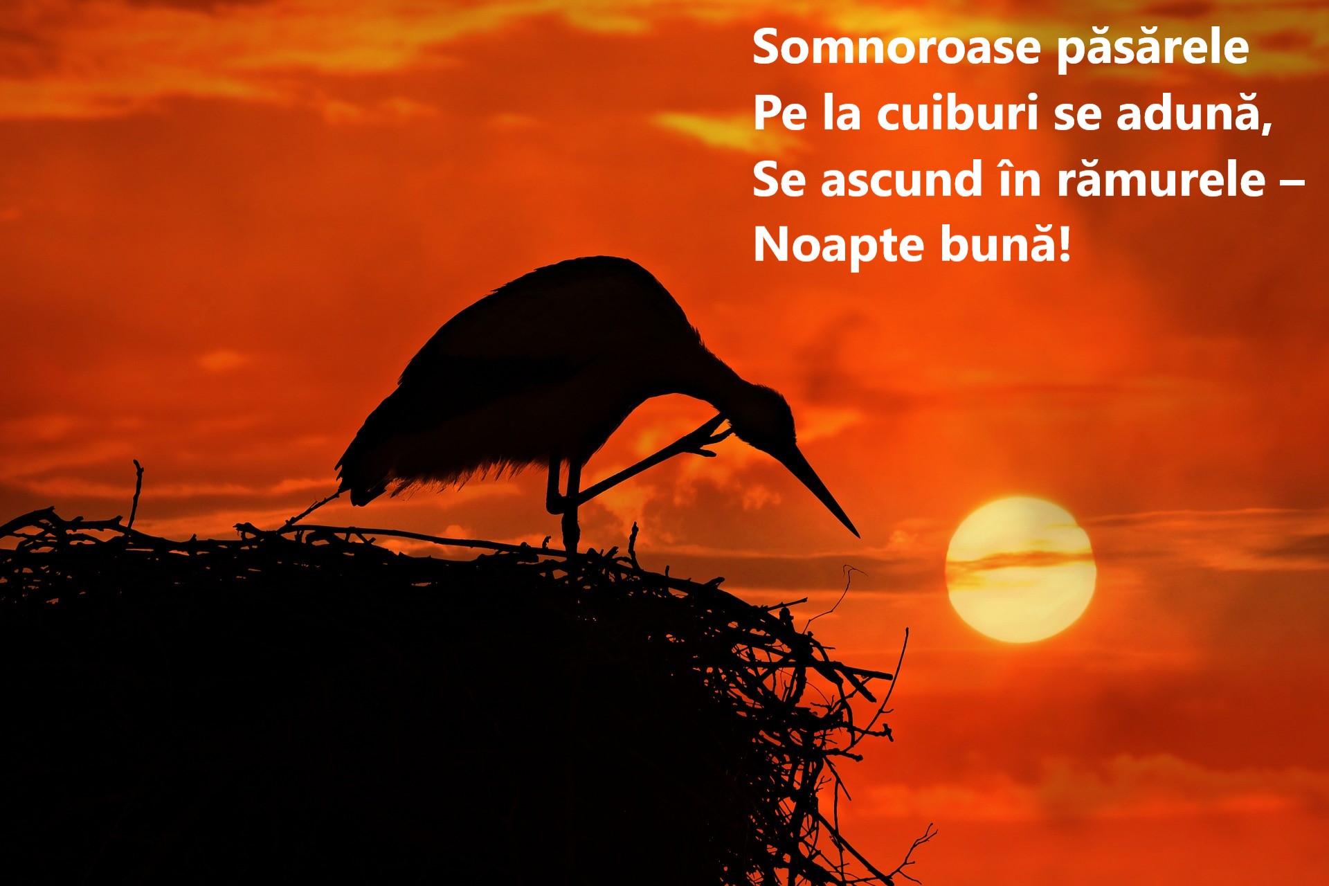 Poezii de Mihai Eminescu - poezii celebre scrise de Eminescu