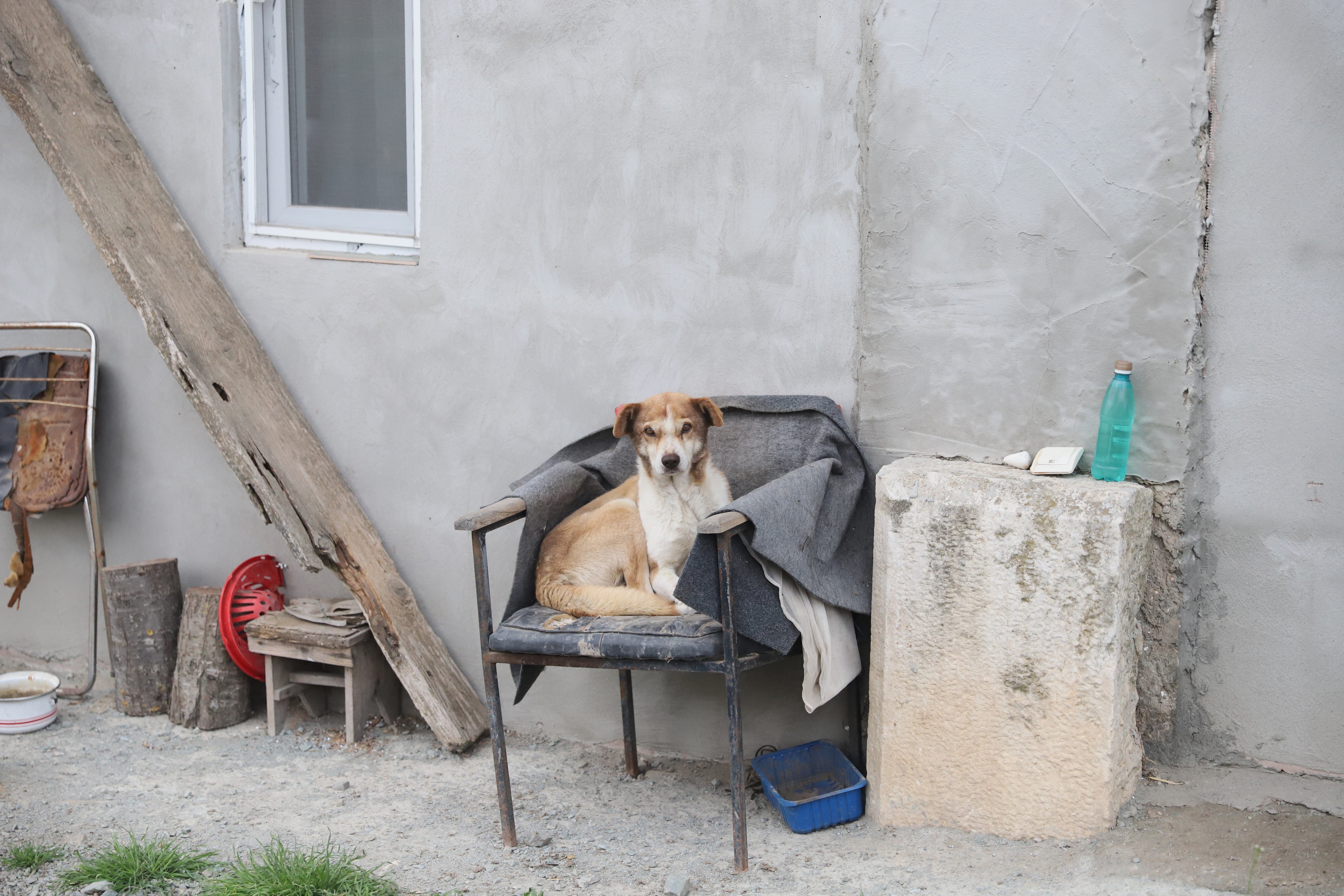 Doar șase oameni mai trăiesc în satul din Dobrogea unde s-a născut Sfântul Ioan Casian, care a zidit două mănăstiri la Marsilia
