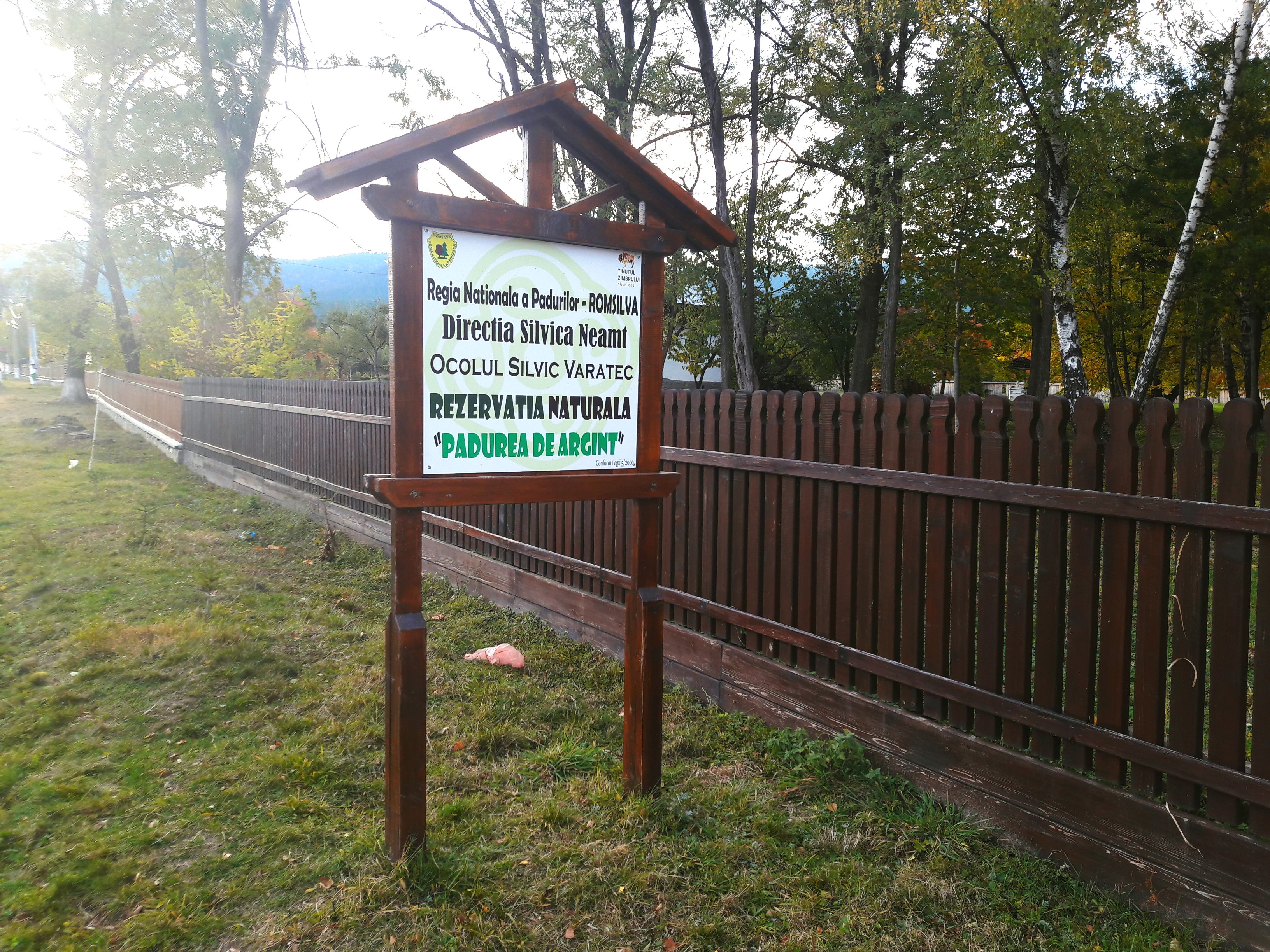 Fotografii prin lumea lui Mihai Eminescu. Toamna colorează spectaculos ”Codrii de aramă” și ”Pădurea de argint”