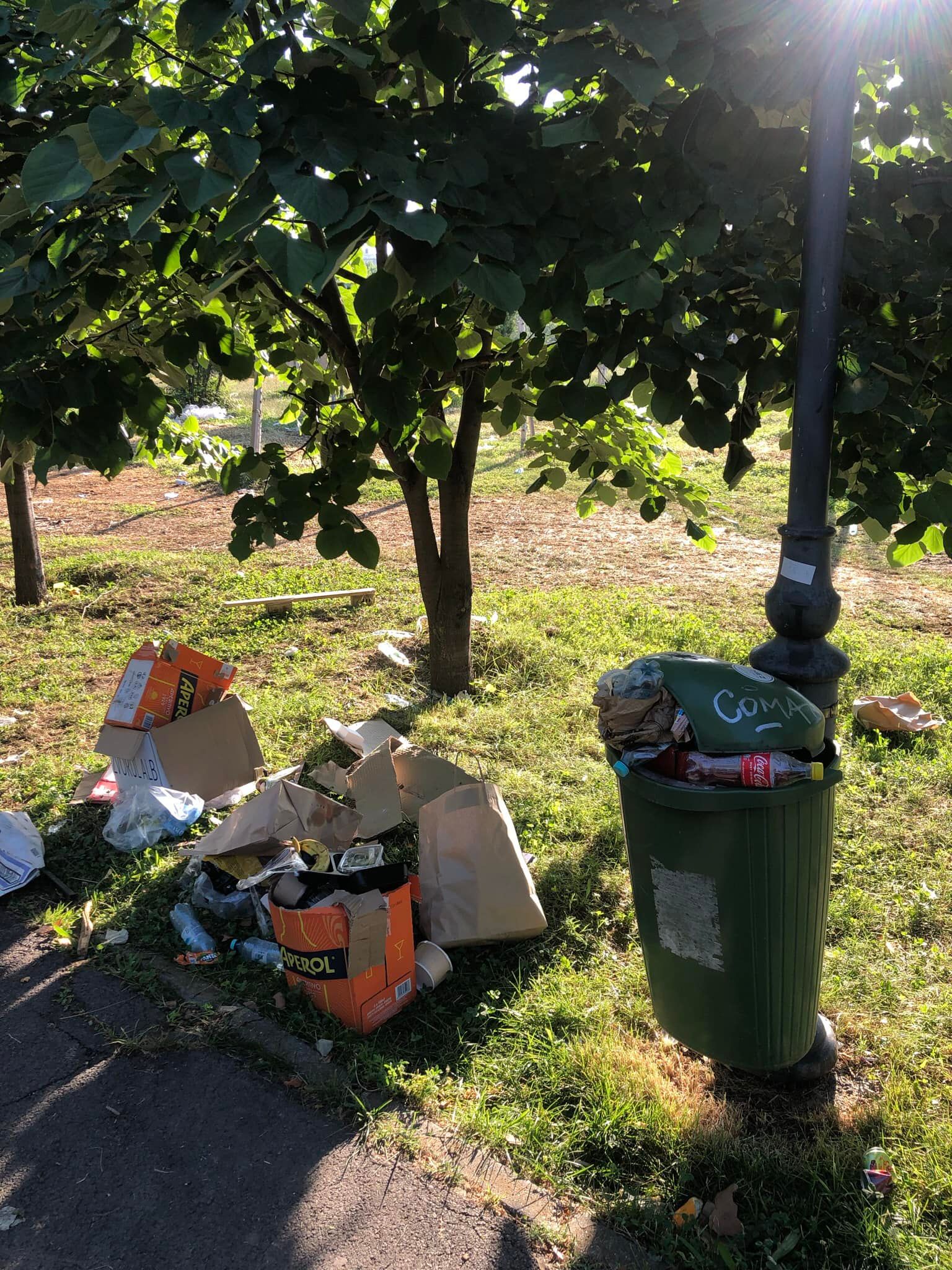 Concesionarea Parcului Izvor, între „festivalizarea orașului” și „nu-l distrugem, îl facem mai frumos”