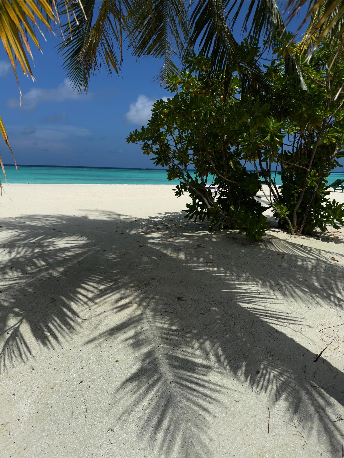 Ce s-a întâmplat în vacanța Corinei Caragea în Maldive. Prezentatoarea s-a plâns fanilor: „E sezon uscat acum. Cică”