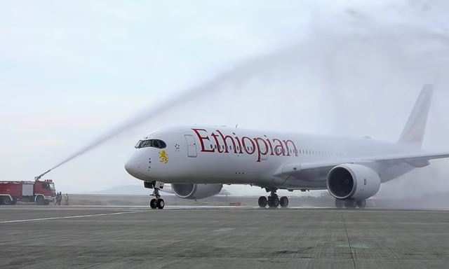 5 largest airlines in Africa by fleet size 