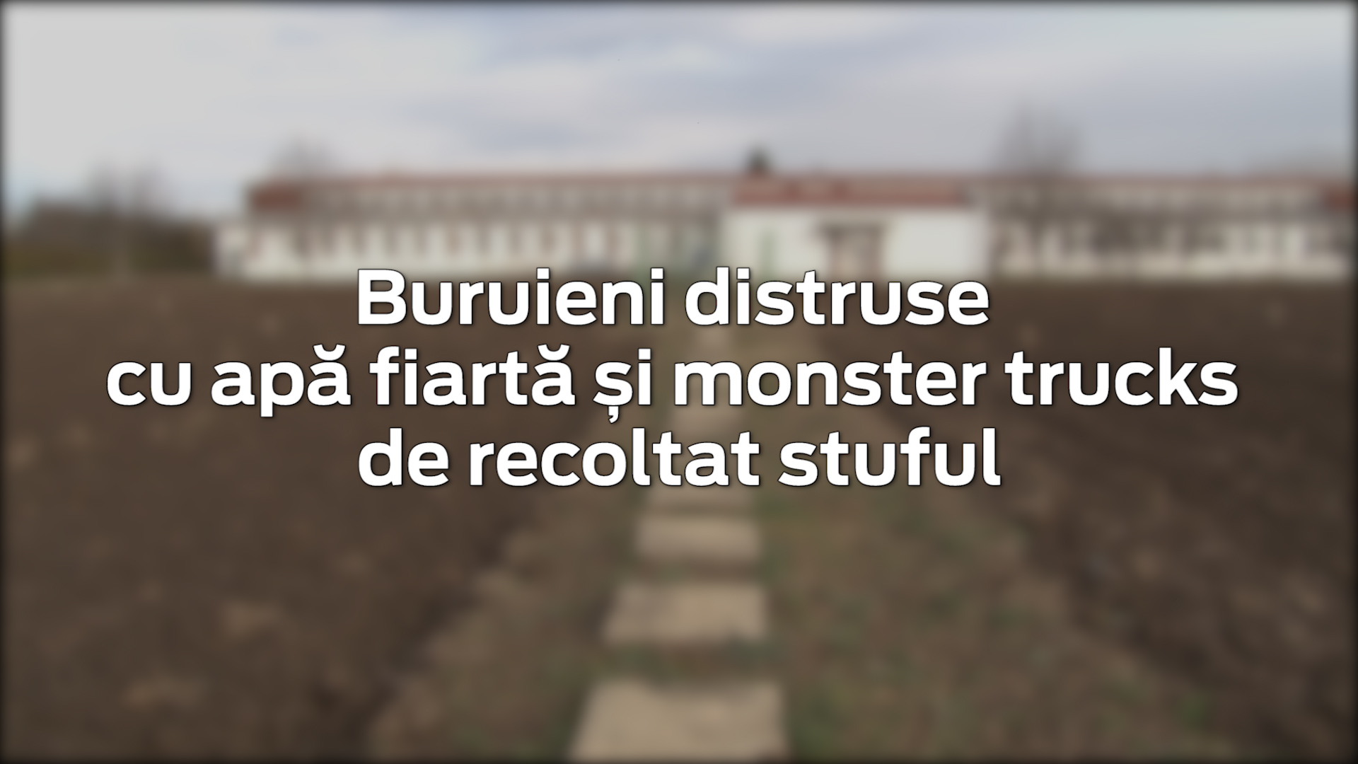 VIDEO/ Invenție românească. Tractorul care omoară buruienile cu apă chioară