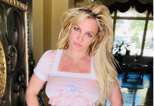 Britney Spears ar locui într-o vilă dezordonată, plină de excremente de câine. Familia și prietenii, îngrijorați pentru starea ei