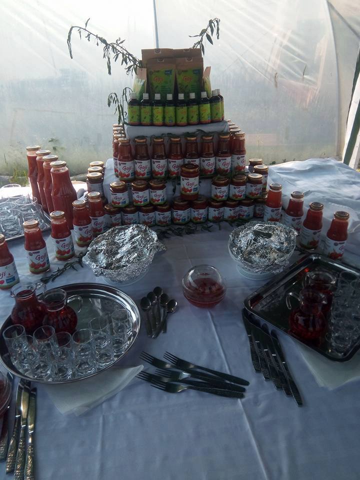 Cea mai mare cultură bio de goji din România, o investiție unică în Europa, riscă să fie distrusă - FOTO