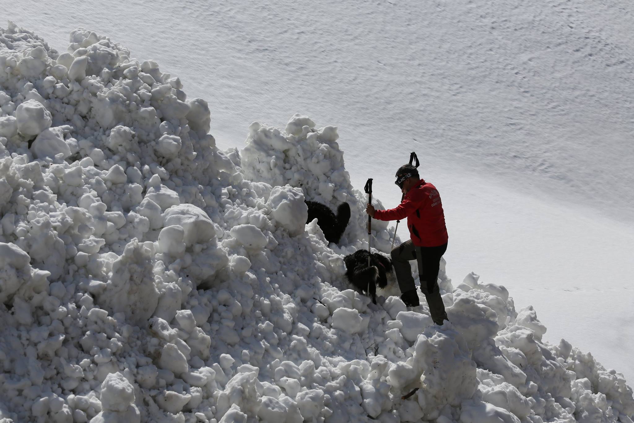 REPORTAJ/Povestea câinilor de avalanșă Helios și Dara sau încrederea de nezdruncinat dintre om şi animal: "Unde merg eu, merg şi ei"/ FOTO