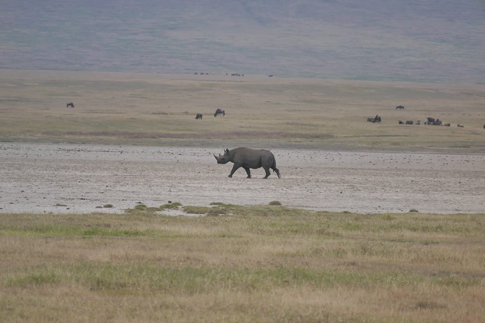 Un colaborator de-al lui Piţurcă îşi petrece vacanţa în Tanzania / GALERIE FOTO&VIDEO
