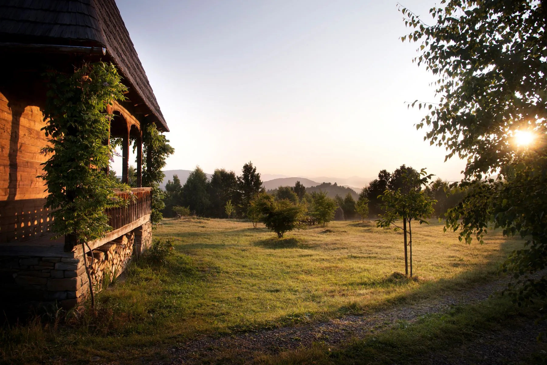 Domeniu de 94 de hectare din Maramureș, scos la vânzare. Cum arată conceptul unic de locuit în România: E un ansamblu de patru case tradiționale